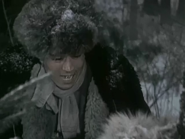 最后八个人.The Last Eight.1980.DVD.X264.AAC.HALFCD.mkv_20250627_200932.278.jpg