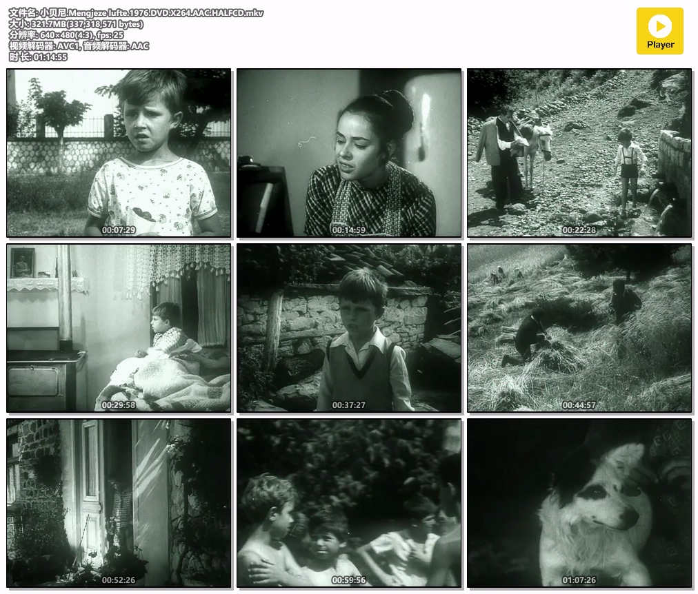 小贝尼.Mengjeze lufte.1976.DVD.X264.AAC.HALFCD.mkv.jpg