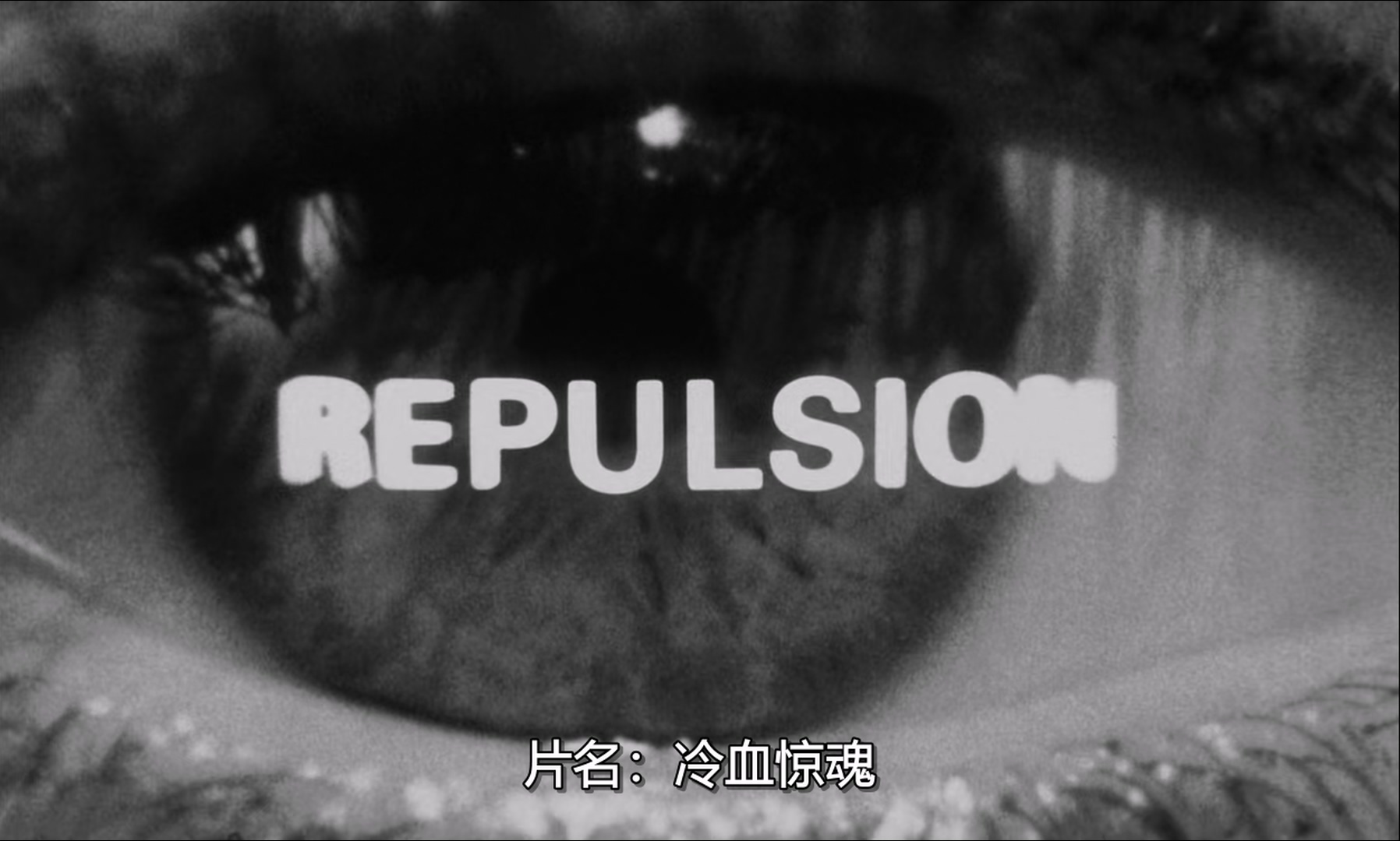 Repulsion.1965.1080p.BluRay.x265-RARBG.mkv_20250629_081240.913.jpg
