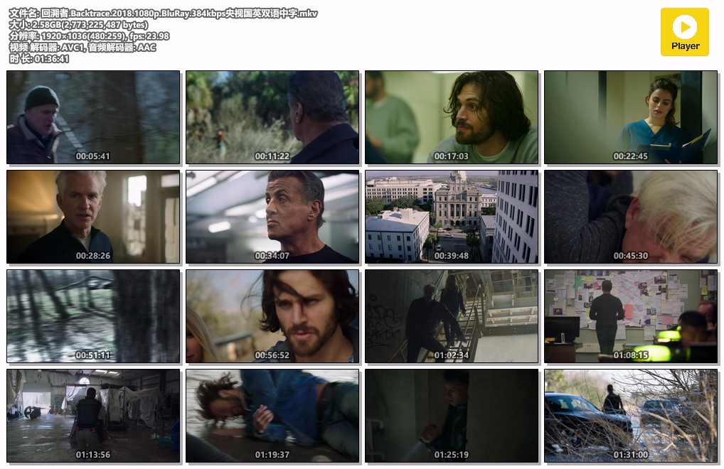 回溯者.Backtrace.2018.1080p.BluRay.384kbps央视国英双语中字.mkv.jpg
