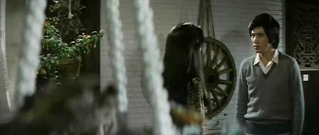 雁儿在林梢.The Wild Goose on the Wing.1979.DVD.X264.AAC.HALFCD.mkv_20250629_192921.484.jpg