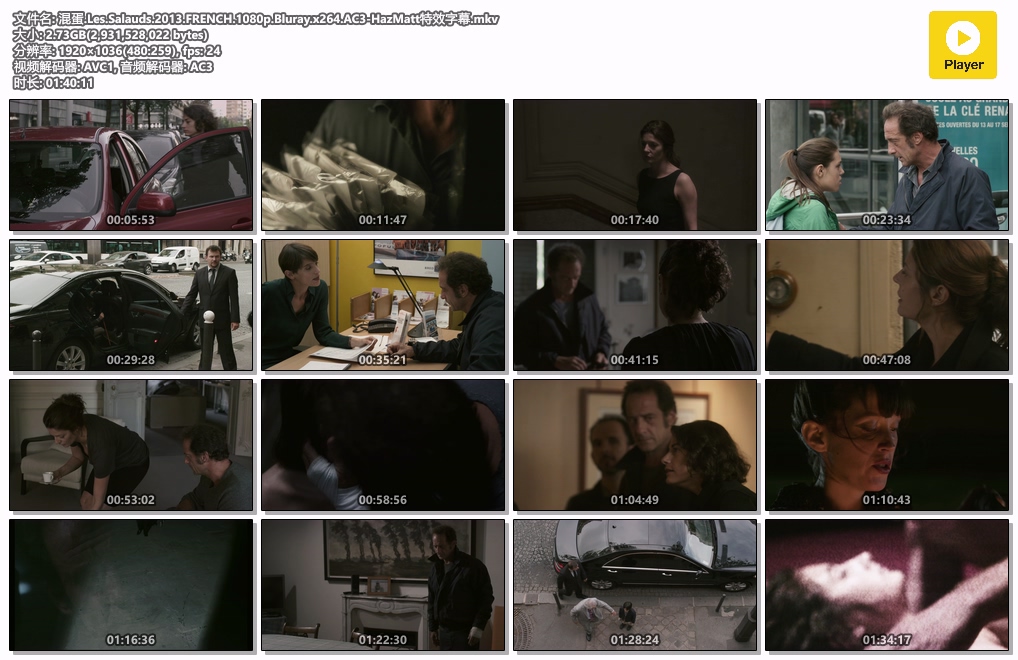 混蛋.Les.Salauds.2013.FRENCH.1080p.Bluray.x264.AC3-HazMatt特效字幕.mkv.jpg