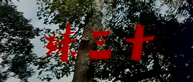 十三妹.Young Avengeress.1969.DVD.X264.AAC.HALFCD.mkv_20250703_203423.720.jpg