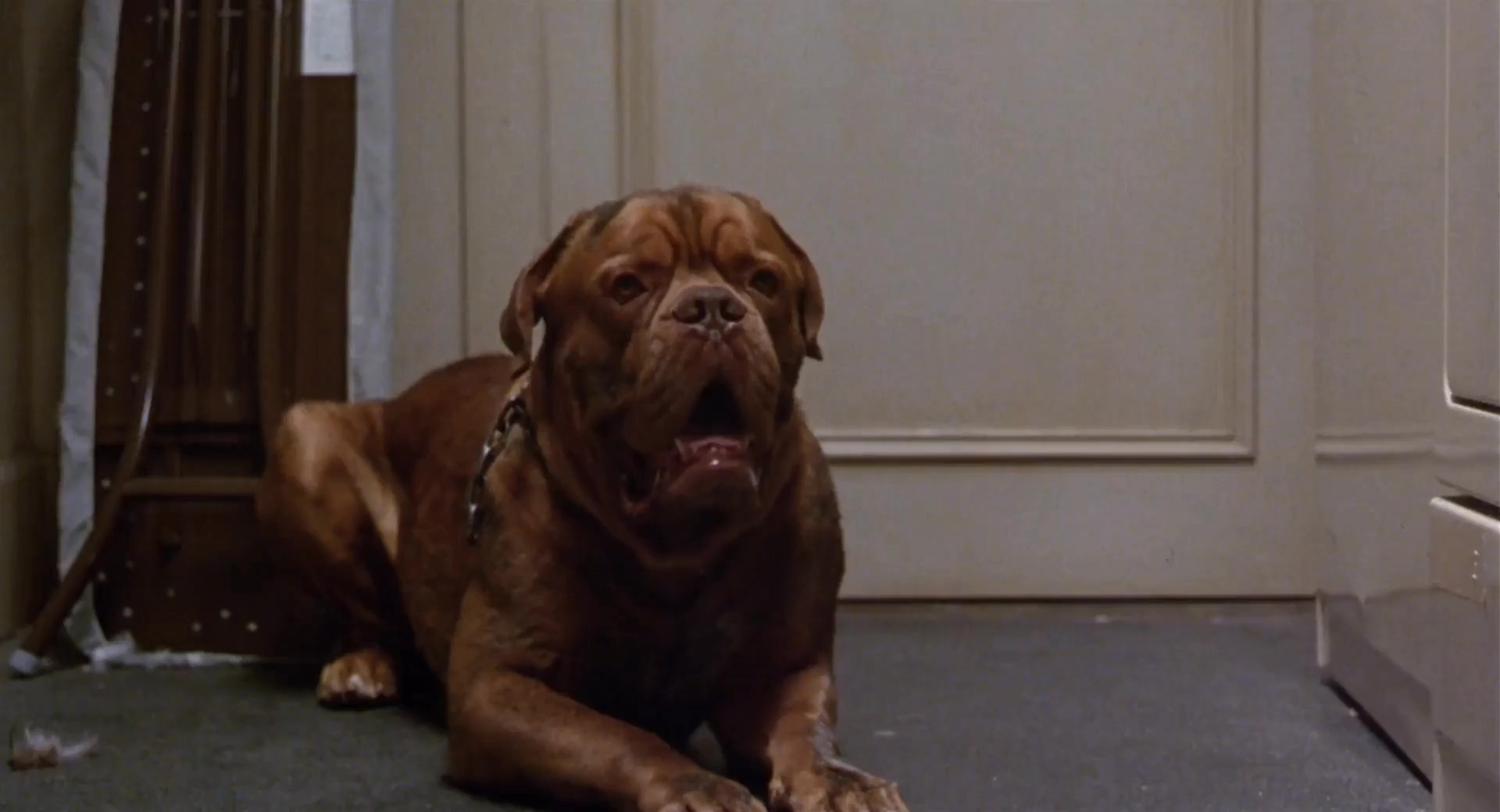 福星与福将.Turner And Hooch 1989.2Audio.CN.mkv_20250704_221307.347.jpg