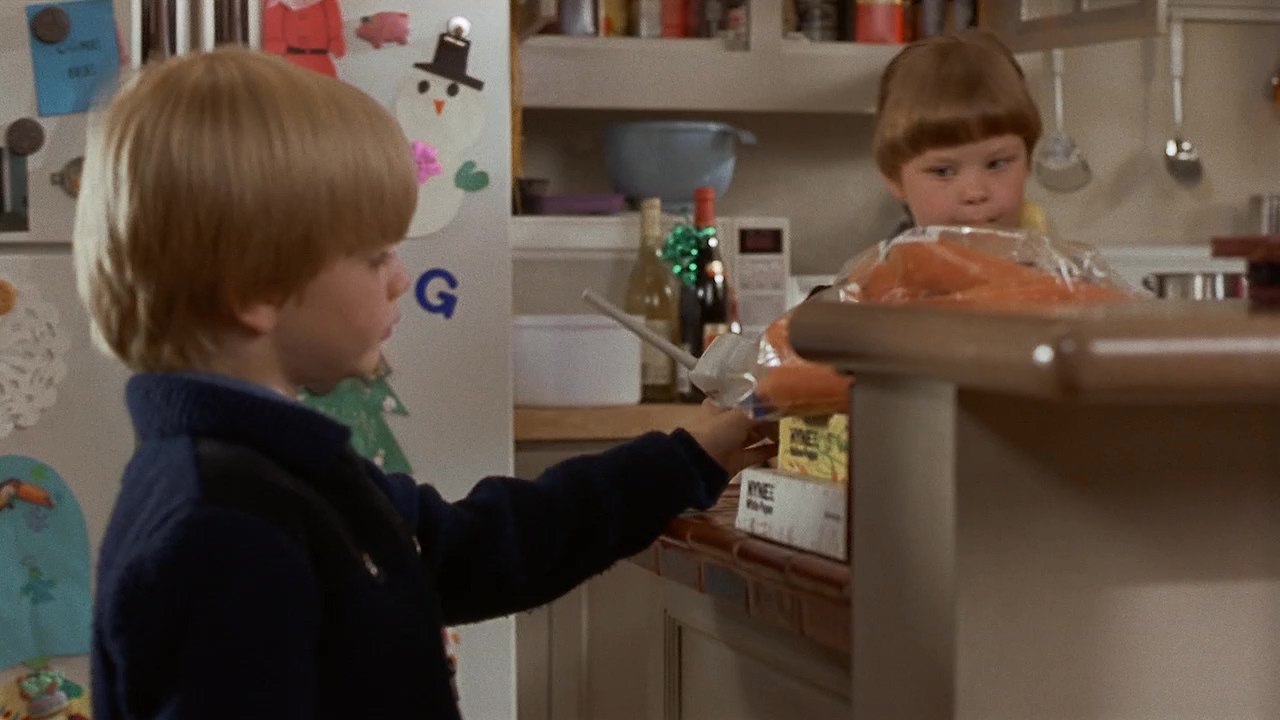 飞越童真3.Look Who's Talking Now.1993.2Audio.CN.mkv_20250710_123330.838.jpg