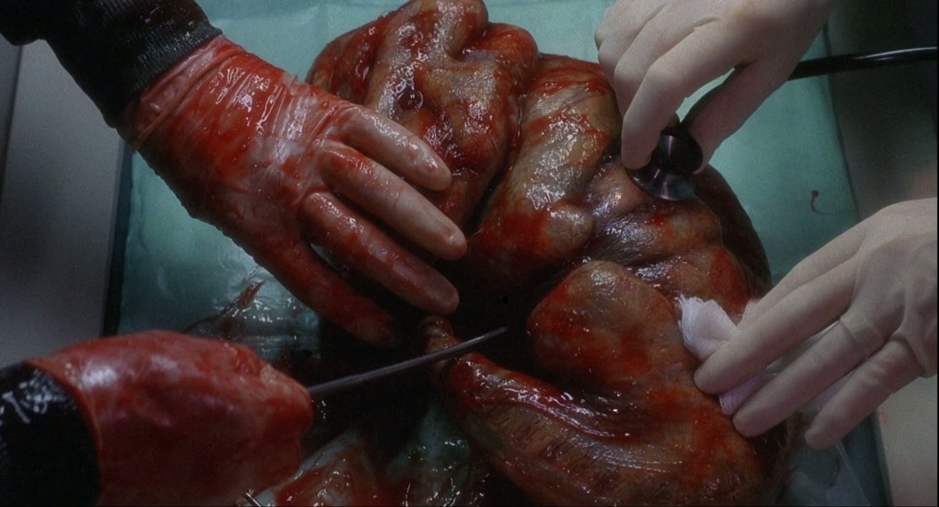 1989 变蝇人 2 The.Fly.II.mkv_20250710_131520.407.jpg