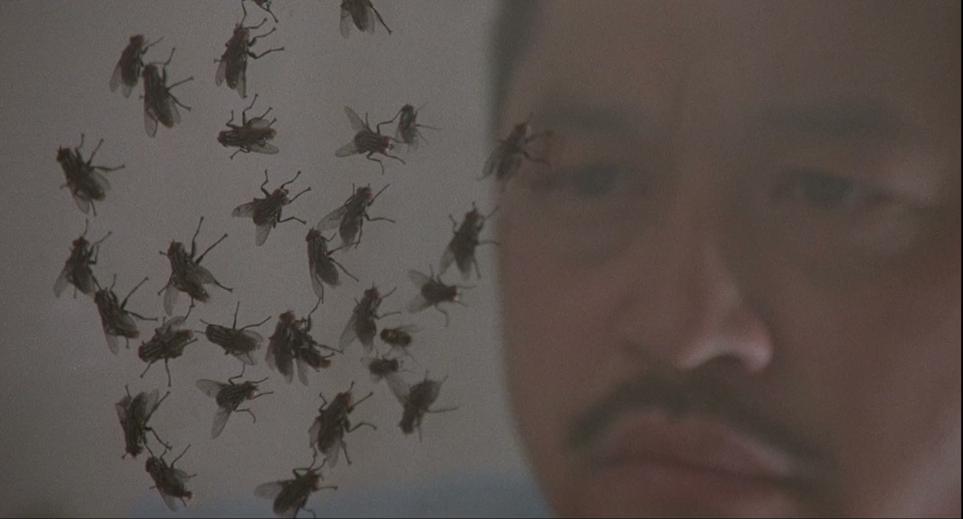 1989 变蝇人 2 The.Fly.II.mkv_20250710_131600.347.jpg