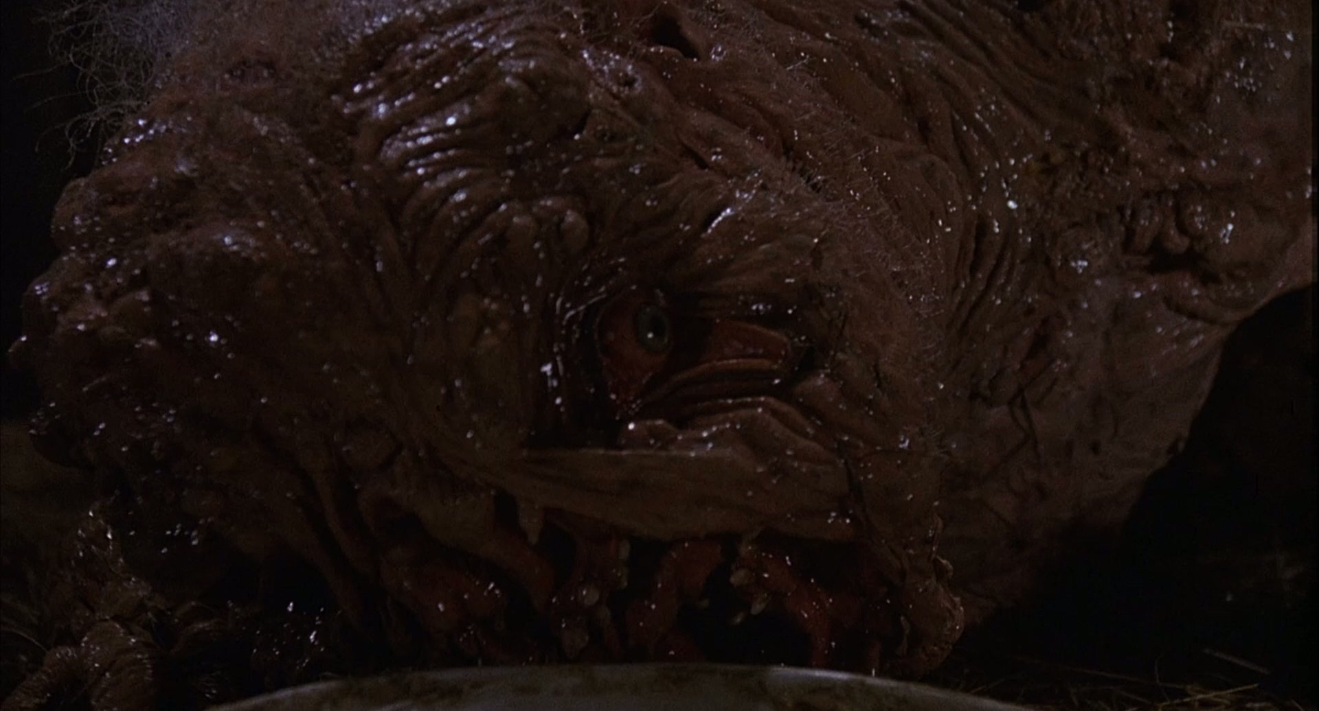 1989 变蝇人 2 The.Fly.II.mkv_20250710_132150.190.jpg