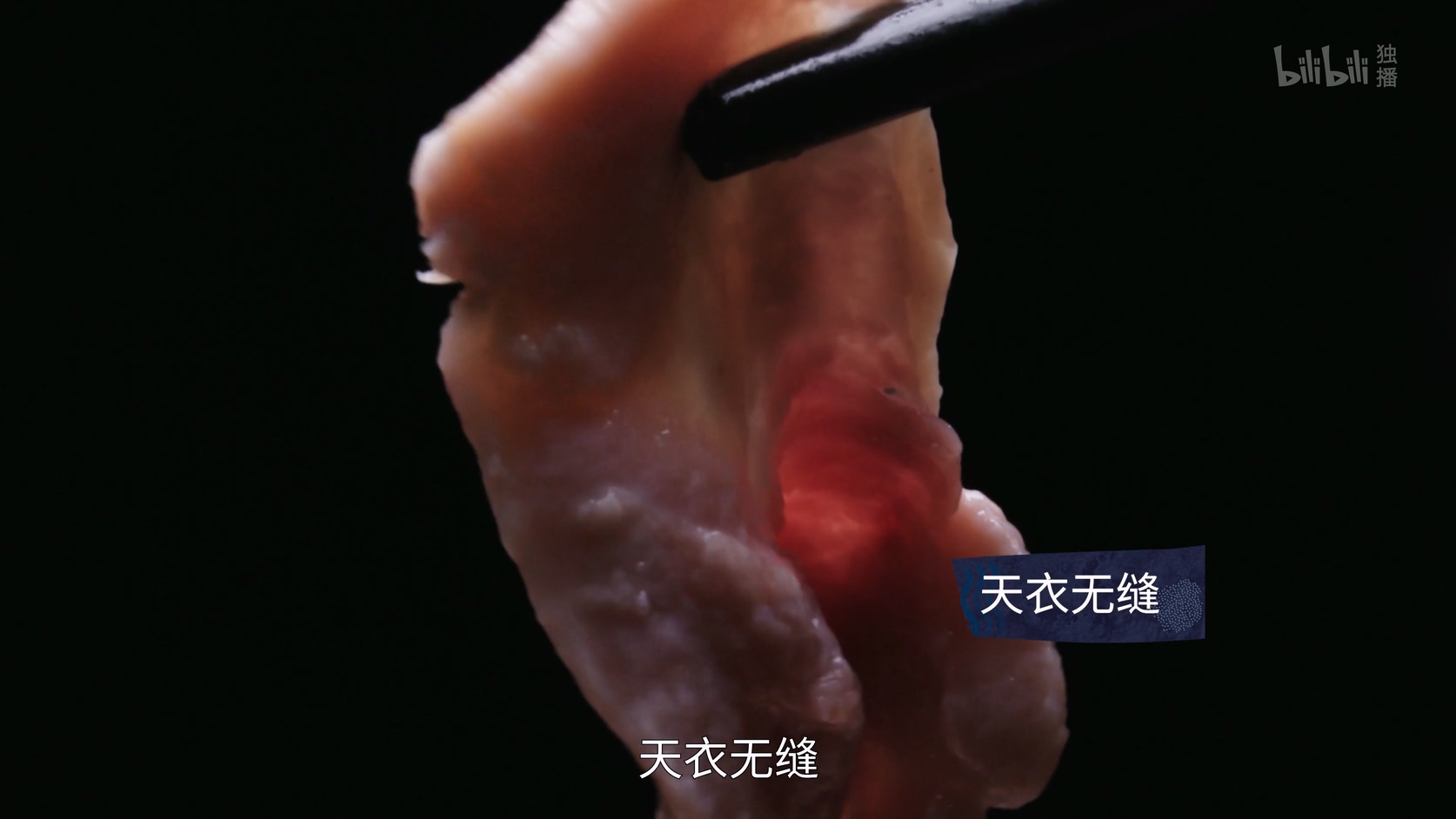 第3集 浑身是宝.mp4_20250713_005631.933.jpg