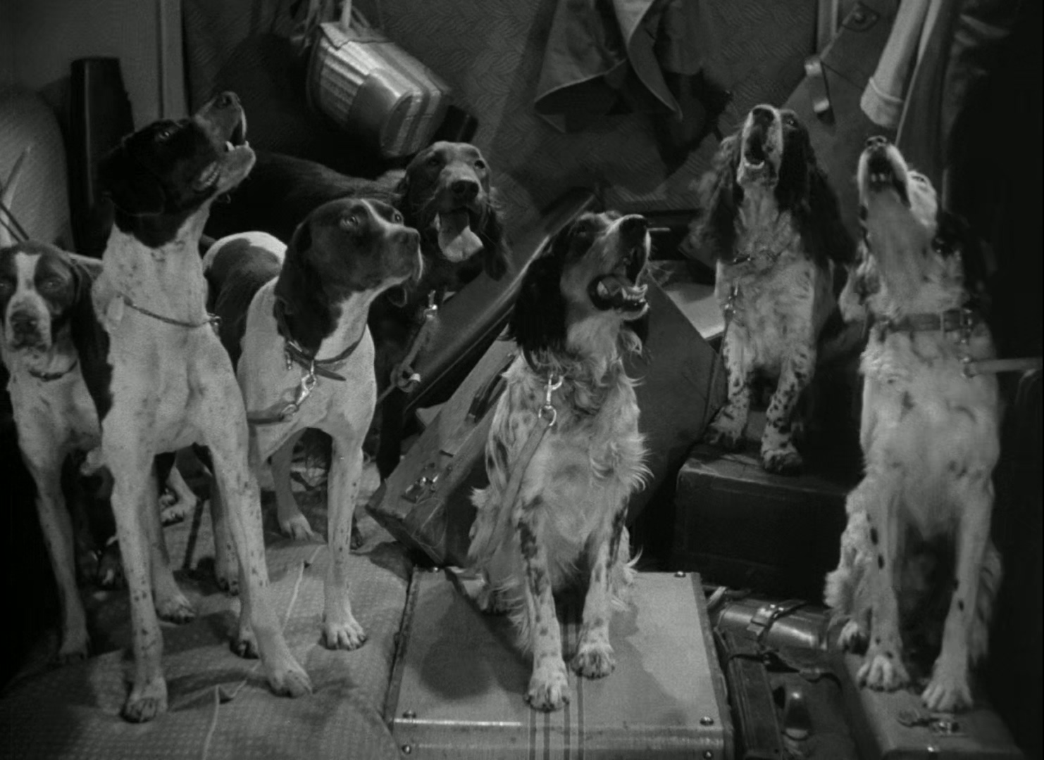 1942 棕榈滩的故事 The Palm Beach Story.mkv_20250713_130942.932.jpg