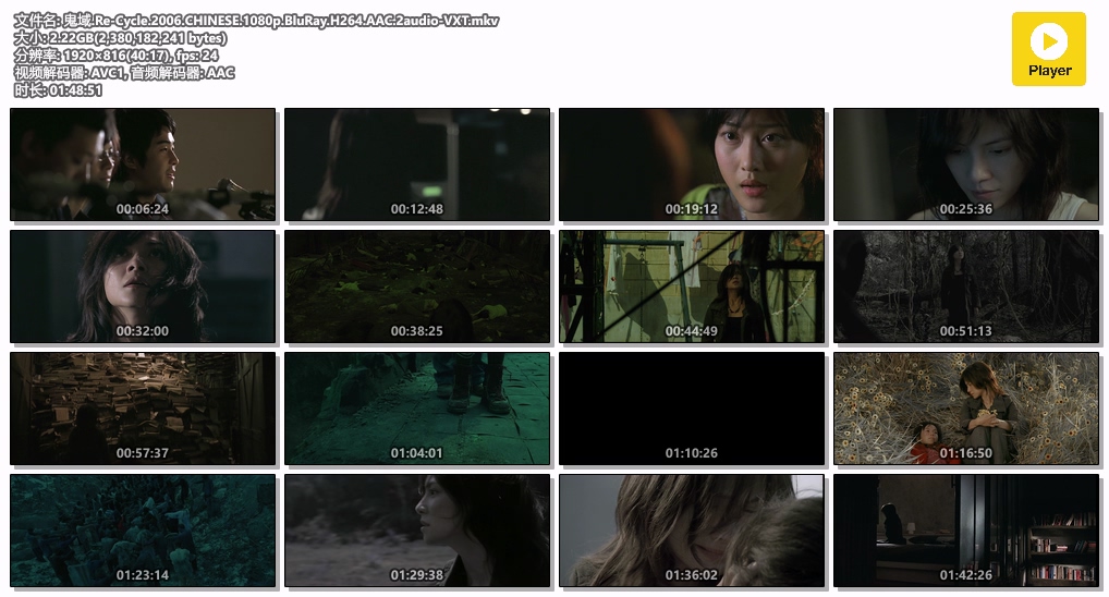 鬼域.Re-Cycle.2006.CHINESE.1080p.BluRay.H264.AAC.2audio-VXT.mkv.jpg