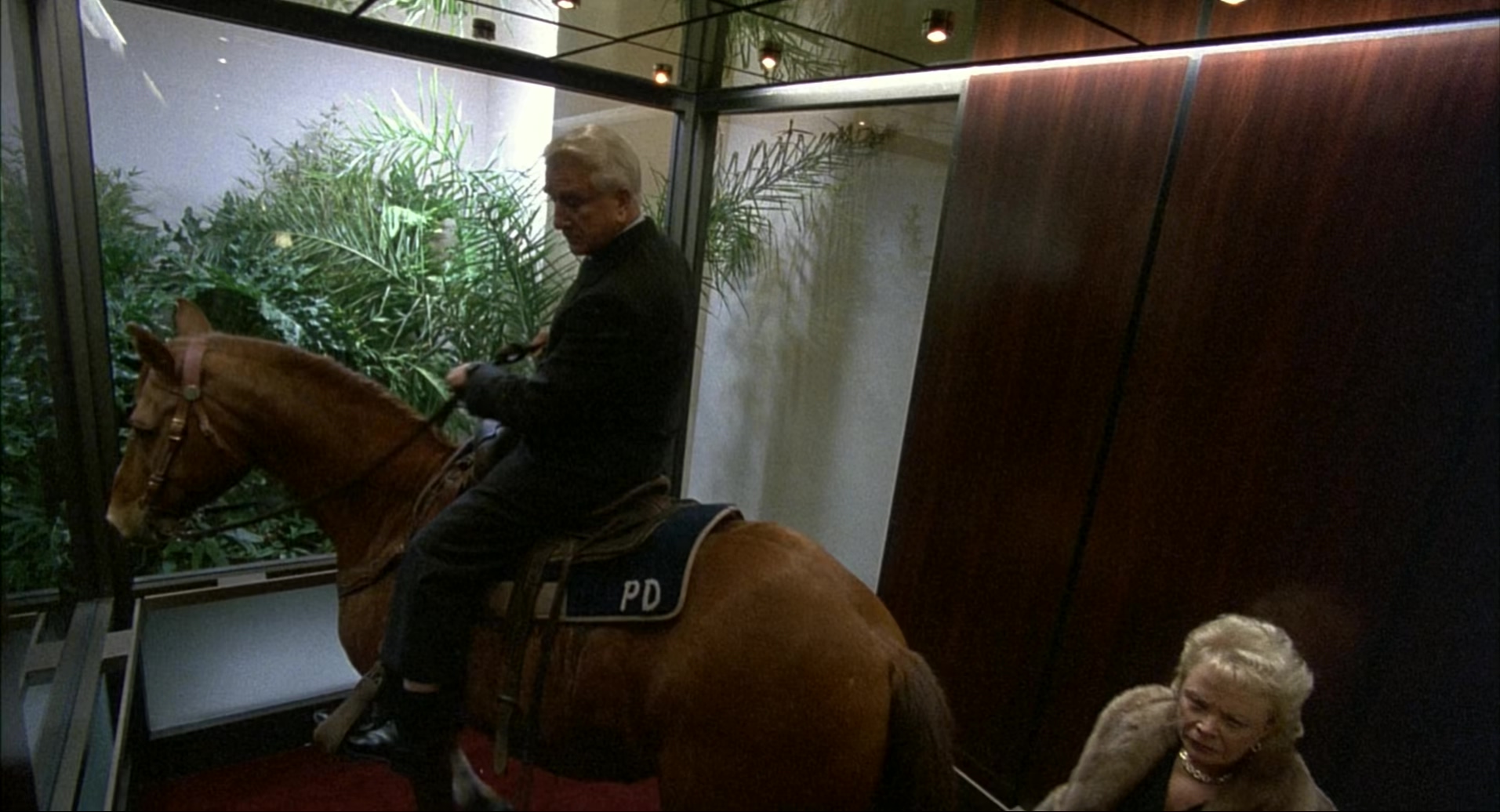 终极笑探.Spy Hard.1996.2Audio.CN.mkv_20250717_142152.149.jpg