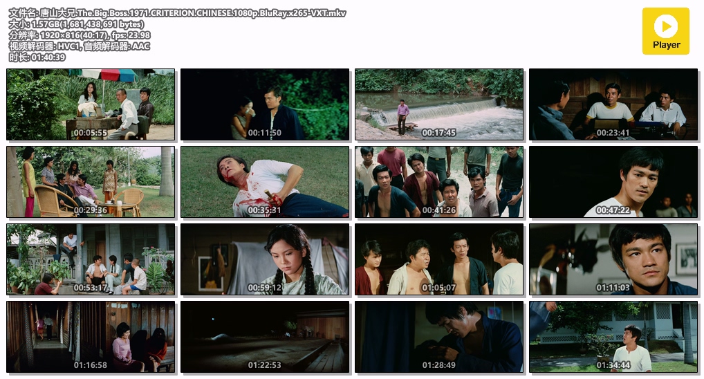 唐山大兄.The.Big.Boss.1971.CRITERION.CHINESE.1080p.BluRay.x265-VXT.mkv.jpg