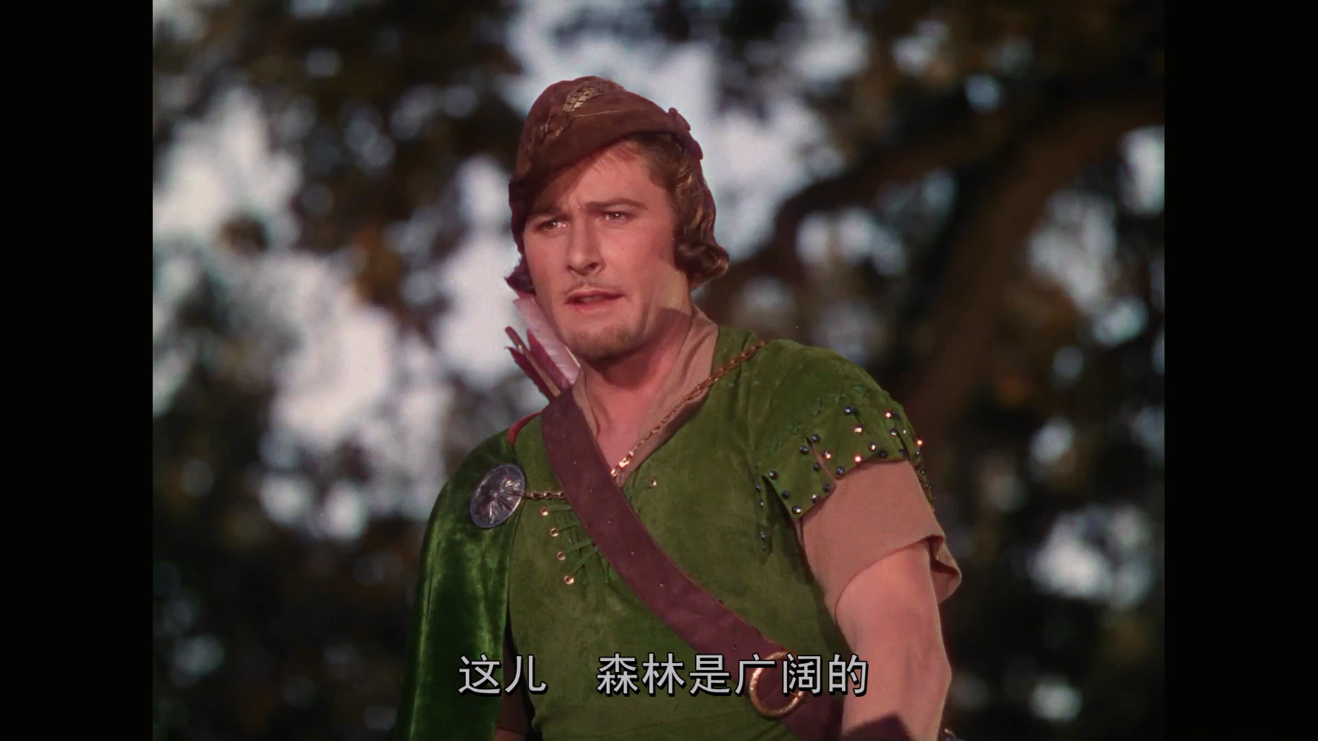 1938.罗宾汉历险记(102分钟).1080P.八一英中字.mkv_20250723_000419.023.jpg