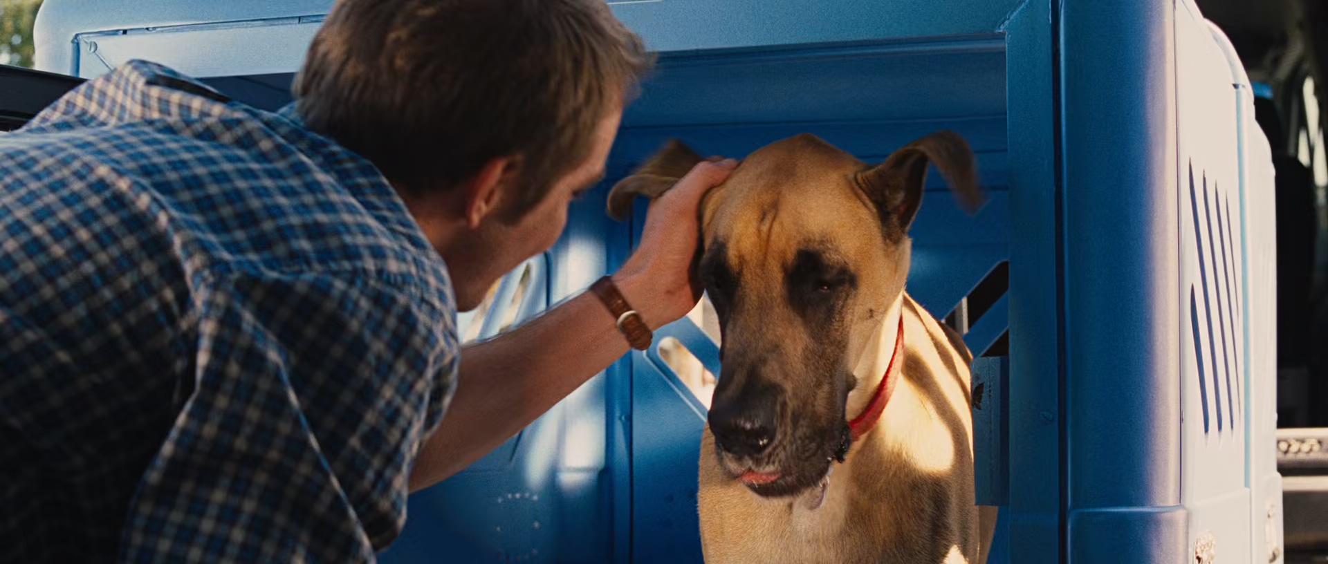 大丹麦狗马默杜克 Marmaduke 2010 1080p [AAC, AAC] [zho, eng] h265 tt1392197.mkv_2.jpg