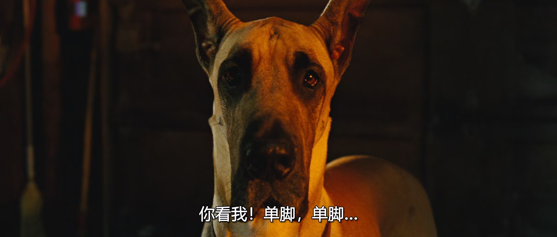 大丹麦狗马默杜克 Marmaduke 2010 1080p [AAC, AAC] [zho, eng] h265 tt1392197.mkv_2.jpg
