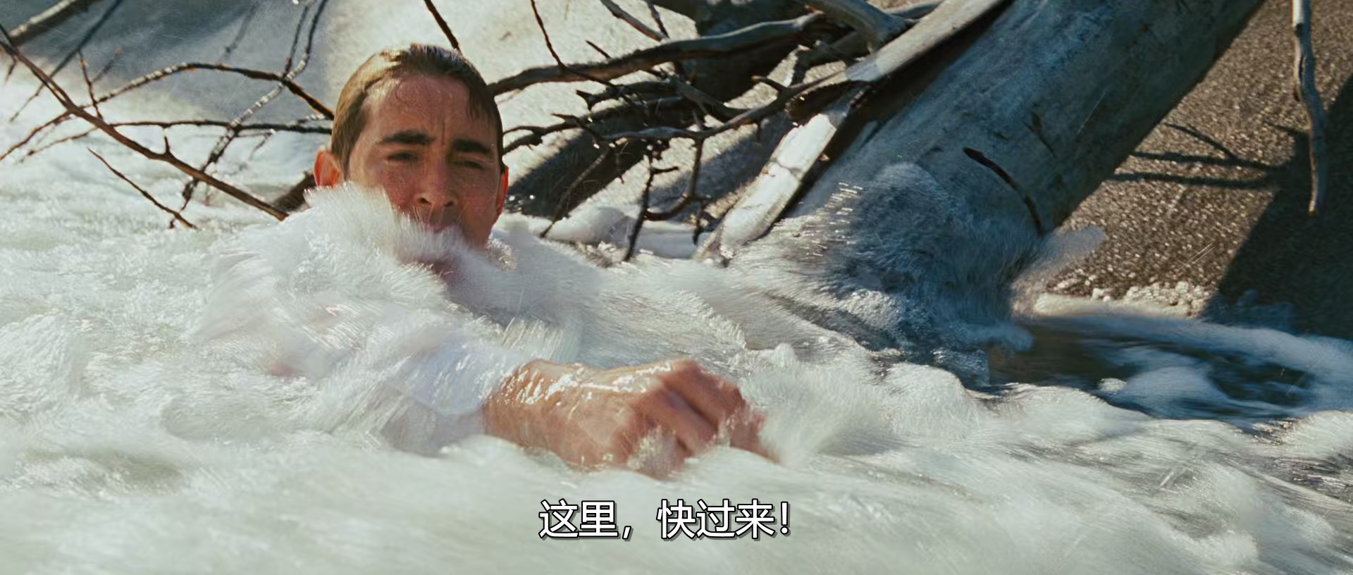 大丹麦狗马默杜克 Marmaduke 2010 1080p [AAC, AAC] [zho, eng] h265 tt1392197.mkv_2.jpg