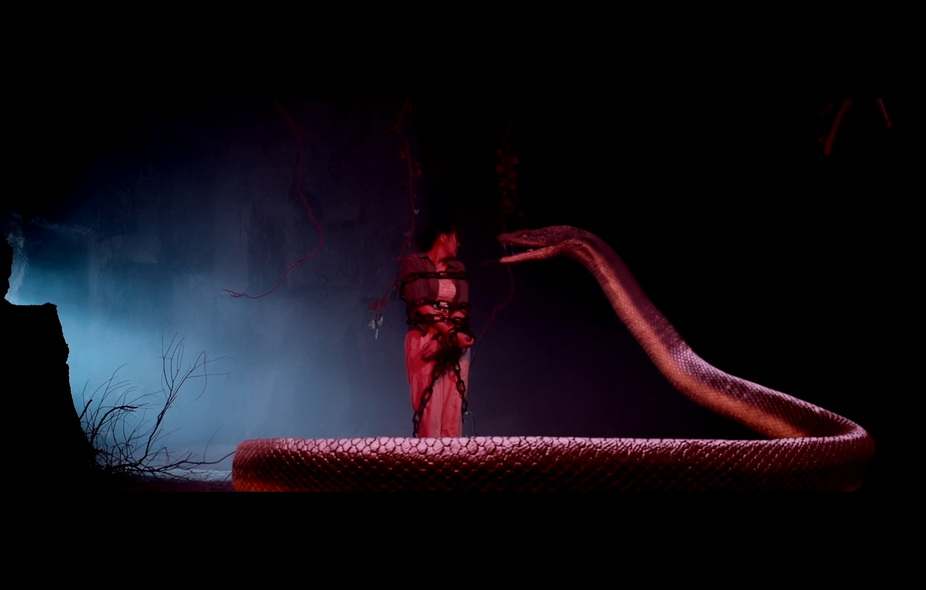 07-蛇岛求生 (6).jpg