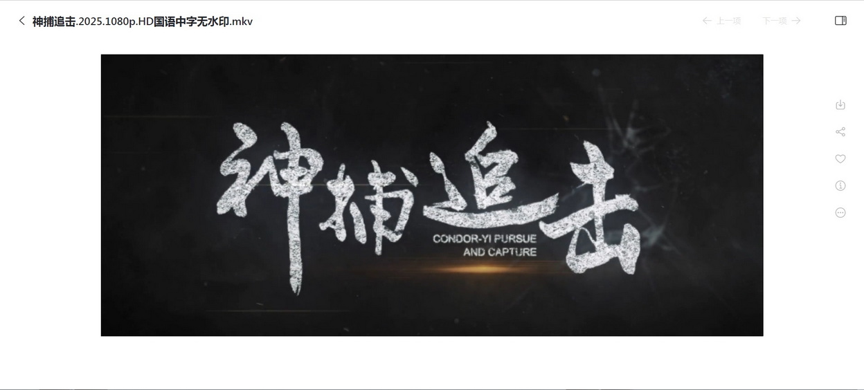 21-神捕追击 (1).jpg