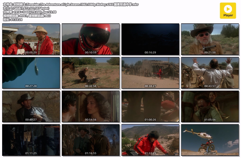 时间骑士.Timerider.The.Adventure.of.Lyle.Swann.1982.1080p.BluRay.x265.国英双语中字.mkv.jpg