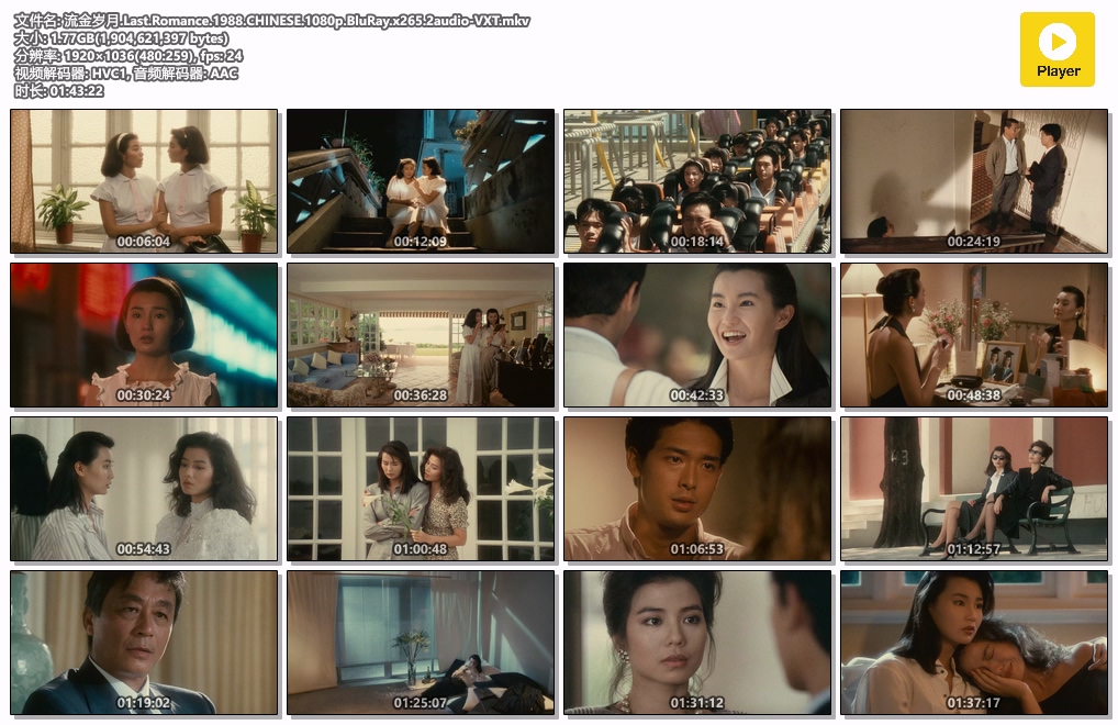 流金岁月.Last.Romance.1988.CHINESE.1080p.BluRay.x265.2audio-VXT.mkv.jpg