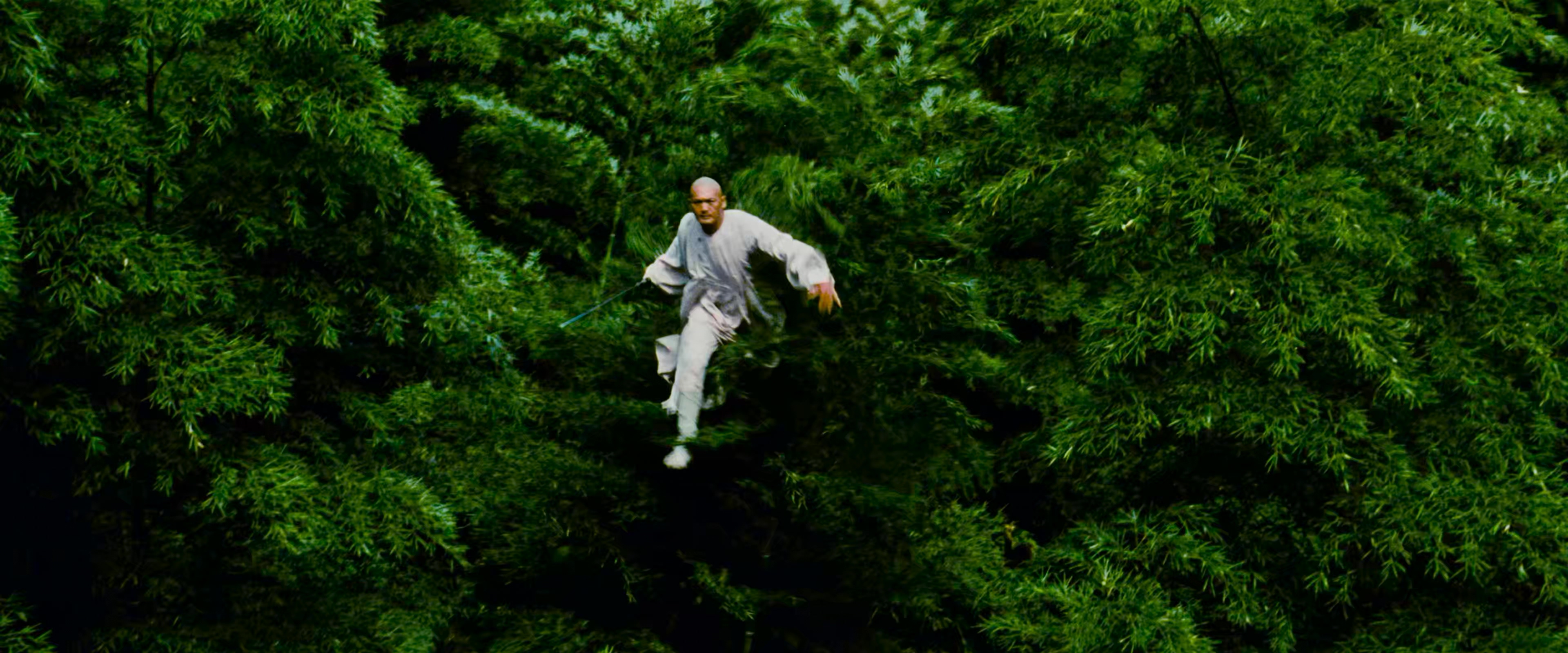 2000 卧虎藏龙 Crouching.Tiger.Hidden.Dragon.mkv_20250808_162641.525.jpg