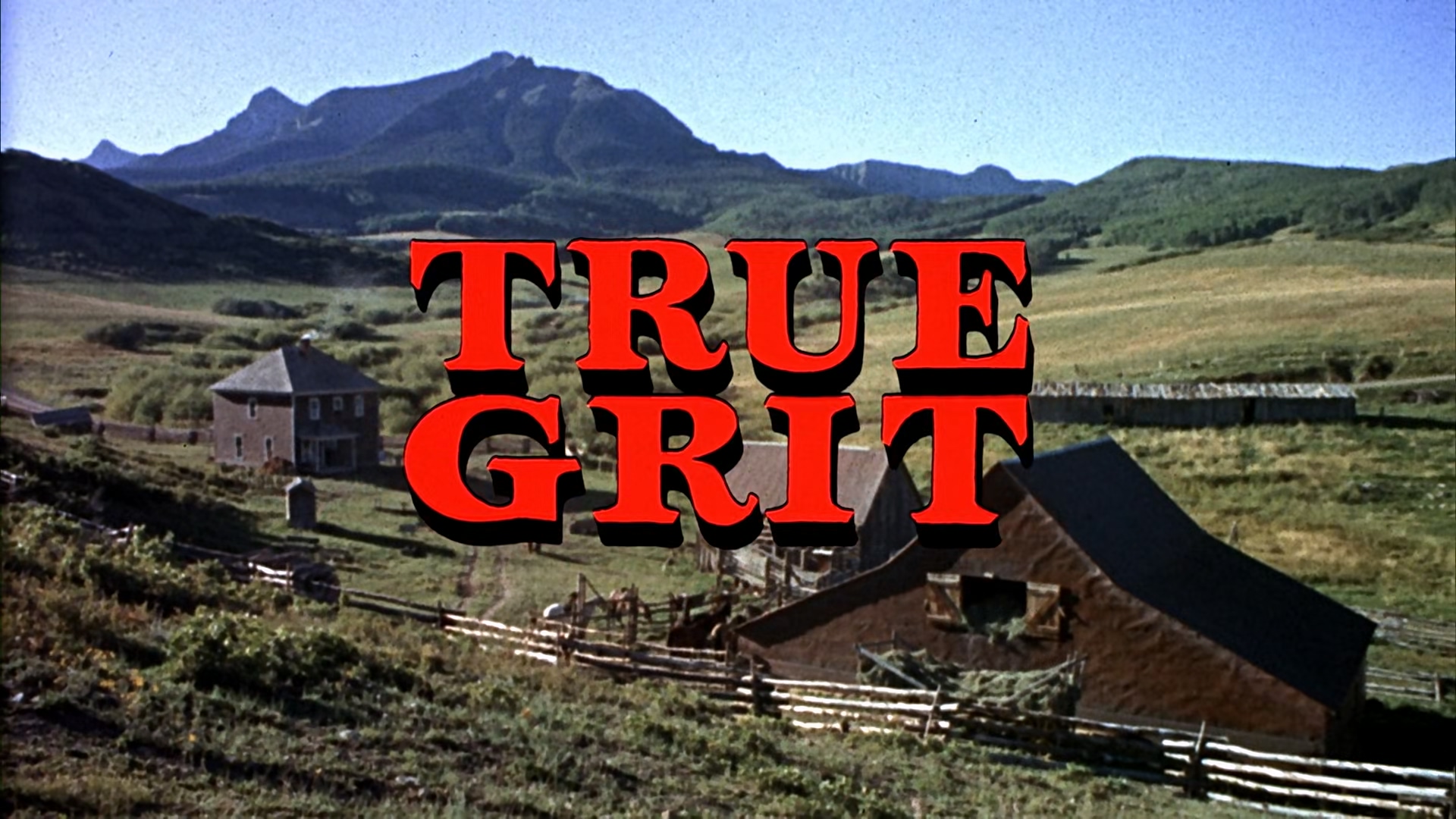 True.Grit.1969.1080p.BluRay.x265-bylh.mkv_20250809_094603.302.jpg