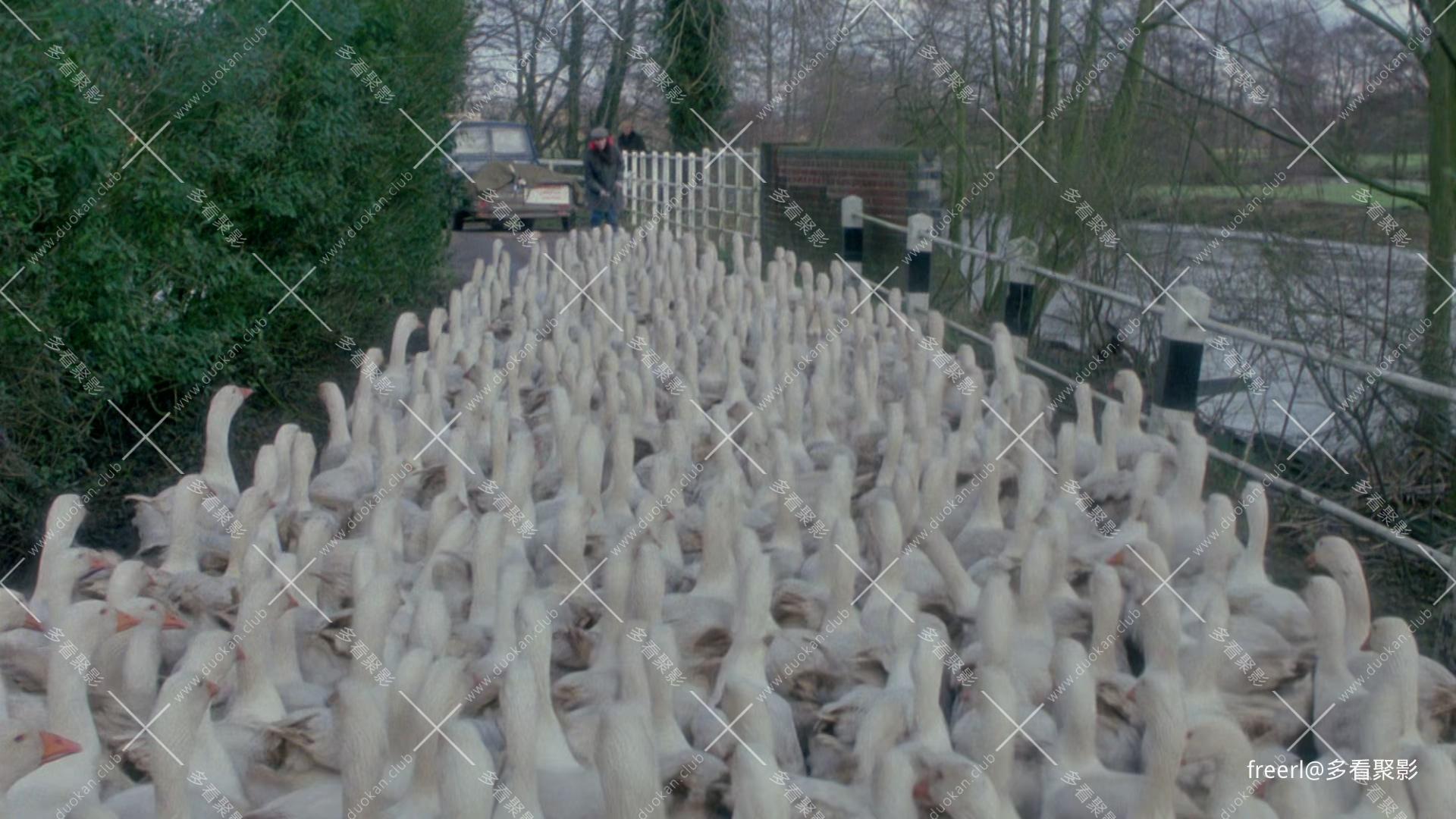 辛格尔顿的勇气 Laughterhouse 1984 1080p [AAC, AAC] [zho, eng] h265 tt0087602.mkv.jpg