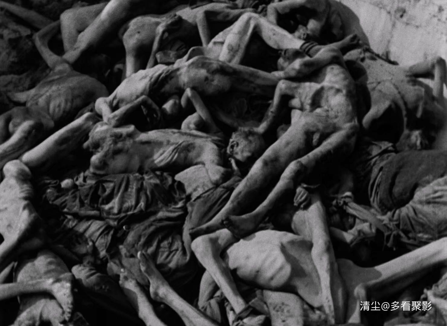 1955 夜与雾 Night and Fog .mkv_20250815_120201.445.jpg