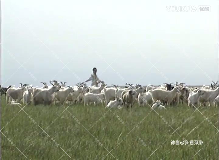 魂断钓鱼城 05-标清_高清.mp4_20250820_132216.538.jpg