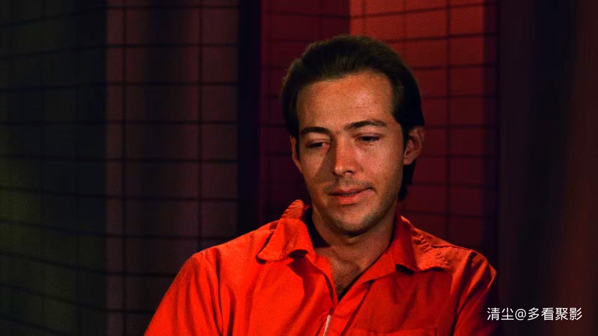 1988 细细的蓝线 The Thin Blue Line.mkv_20250823_125511.428.jpg