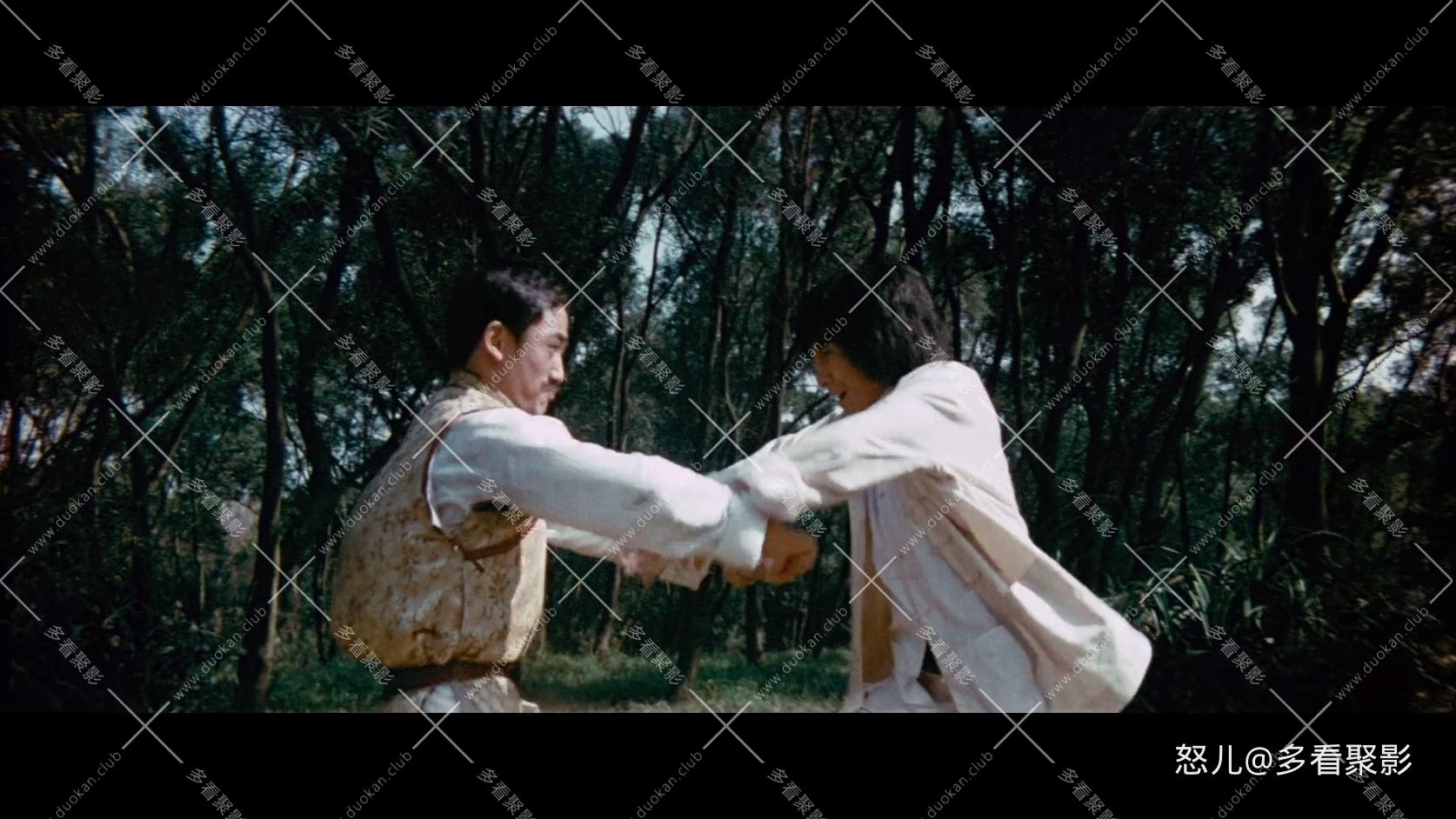 天残地缺.The.Crippled.Masters.1980.BluRay.1080p.AAC.x264-DreamHD.mkv_20250827_10.jpg