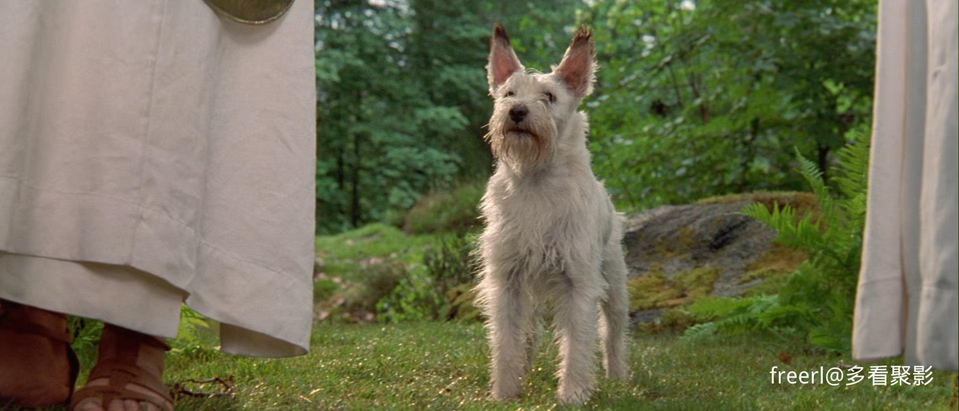 美丽新世界 Astérix &amp; Obélix contre César 1999 1080p [AAC, AC3] [zho, fra] h26.jpg