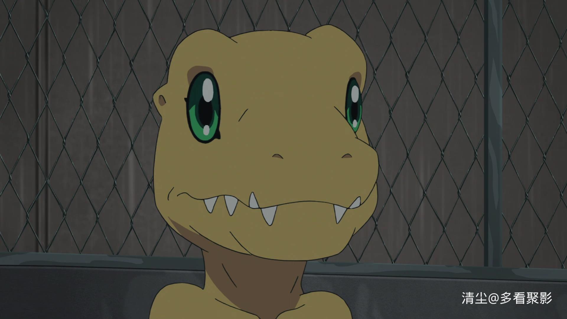 数码宝贝大冒险 20周年纪念故事 02.mp4_20250904_114359.775.jpg