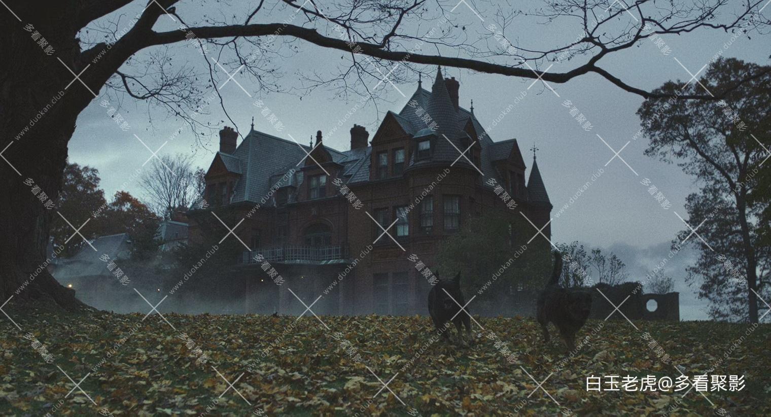 Knives.Out.2019.1080p.BluRay.DD 7.1.x265.10bit.2Audio-CHD.mkv_20250907_121826.713.jpg