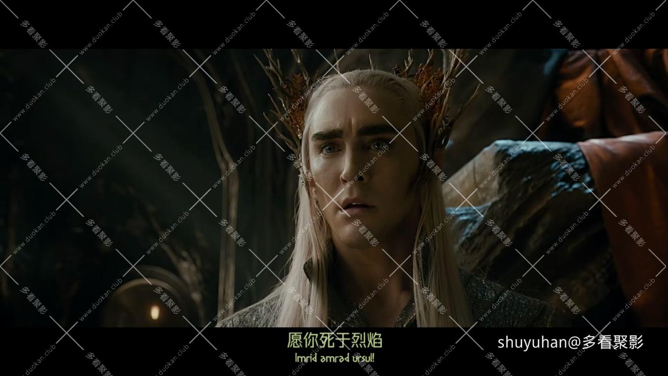 The Hobbit The Desolation of Smaug Extended Edition 2013 1080p BluRay x265 HEVC .jpg
