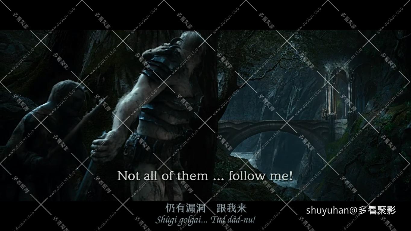 The Hobbit The Desolation of Smaug Extended Edition 2013 1080p BluRay x265 HEVC .jpg