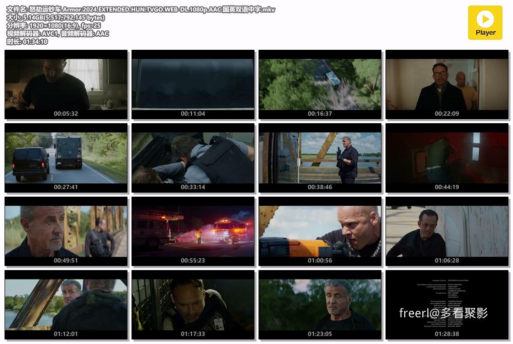 怒劫运钞车.Armor.2024.EXTENDED.HUN.TVGO.WEB-DL.1080p.AAC.国英双语中字.mkv.jpg