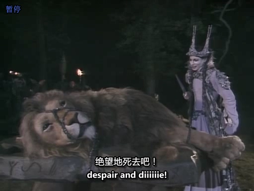 The Chronicles of Narnia S01E05 The Lion, The Witch and the Wardrobe Peter'.jpg