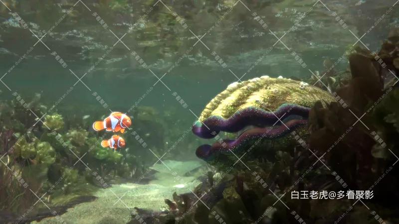 海底总动员2：多莉去哪儿[国粤英多音轨 简繁英字幕].Finding.Dory.2016.UHD.BluRay.21.webp