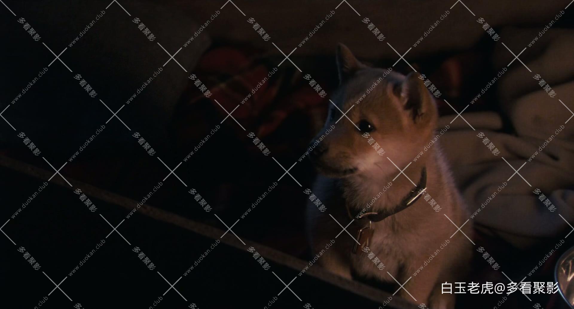 Hachi.A.Dog's.Tale.2009.1080p.Bluray.DTS-HD.MA.5.1.x265.10bit-DreamHD.mkv_2.jpg