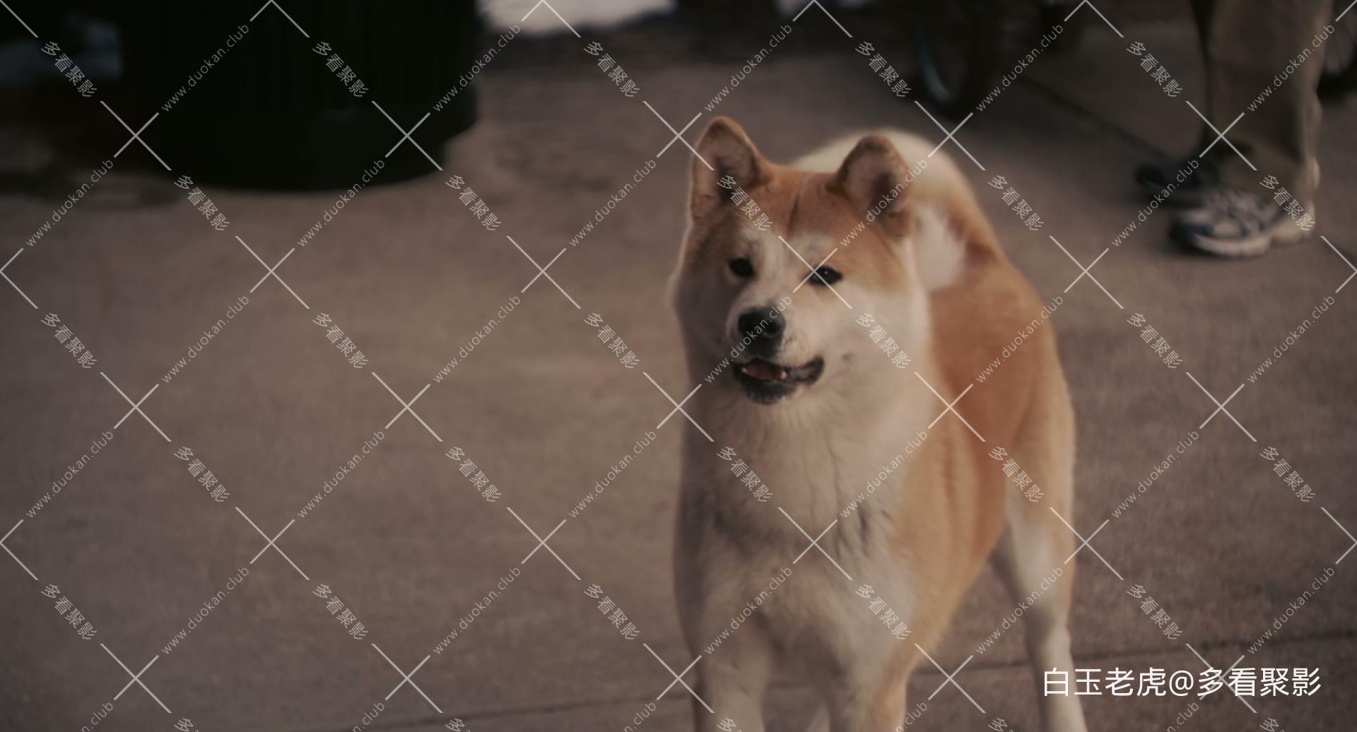 Hachi.A.Dog's.Tale.2009.1080p.Bluray.DTS-HD.MA.5.1.x265.10bit-DreamHD.mkv_2.jpg