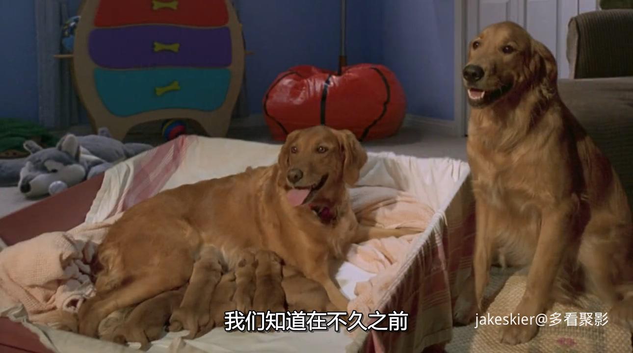 2006.飞狗巴迪6：神犬小巴迪(80分钟).720P.国英中字.mkv_20250926_234740.712.jpg