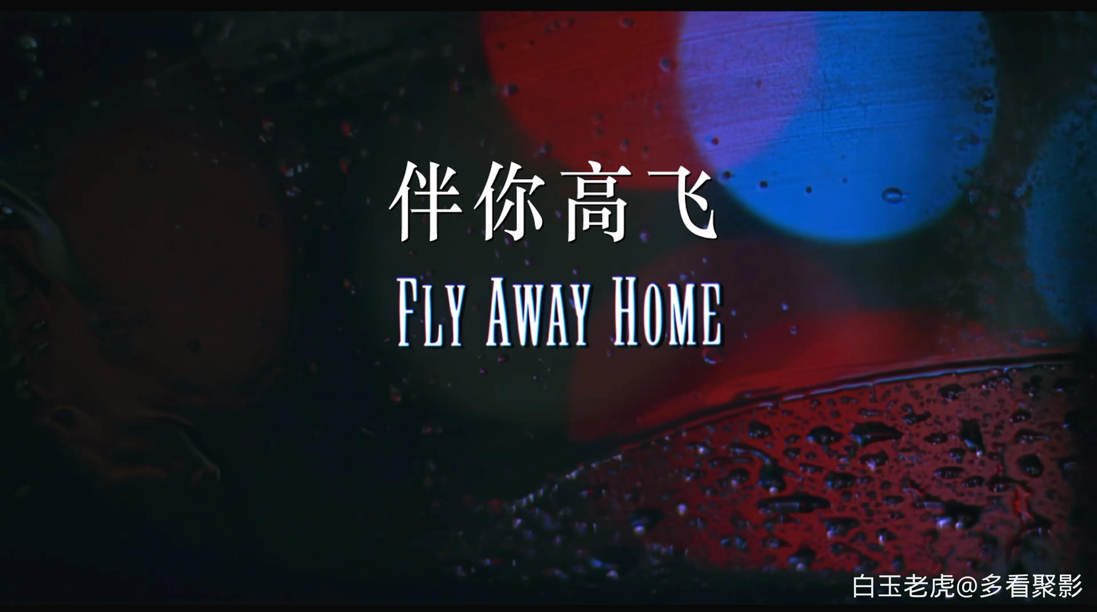 Fly Away Home (1996).mkv_20251004_085725.344.webp