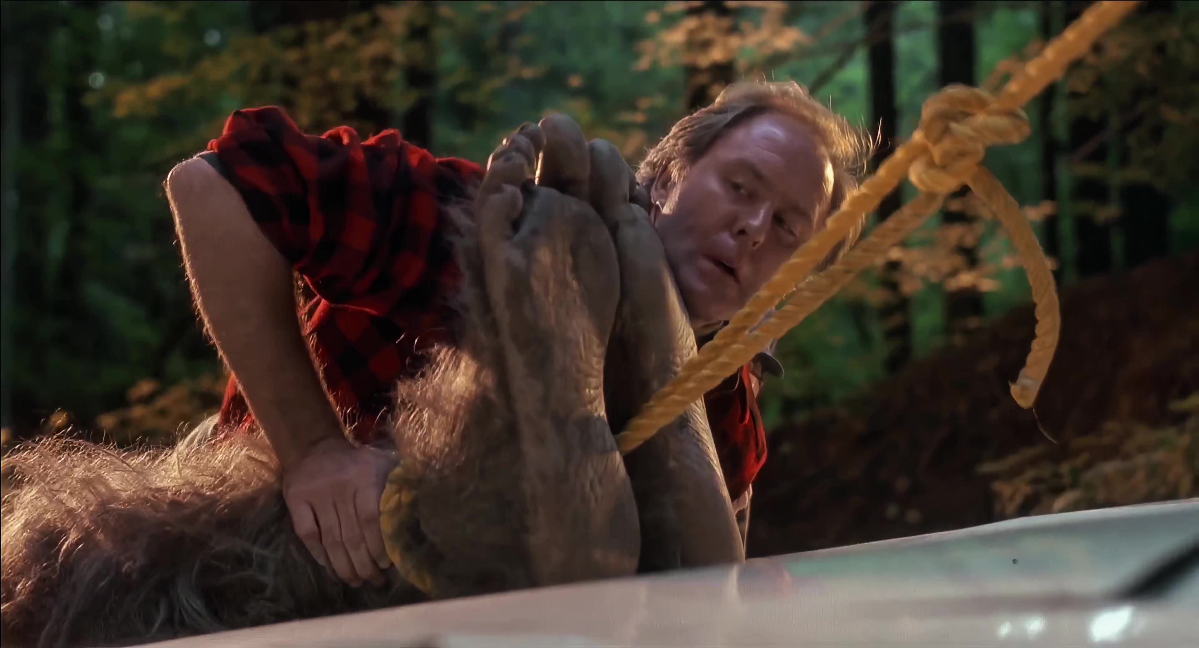 1987 大脚哈利 Harry and the Hendersons.mkv_20251004_105753.691.jpg