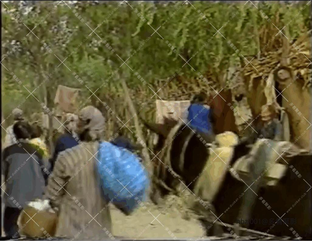 QQ截图20251007075325 (1).png