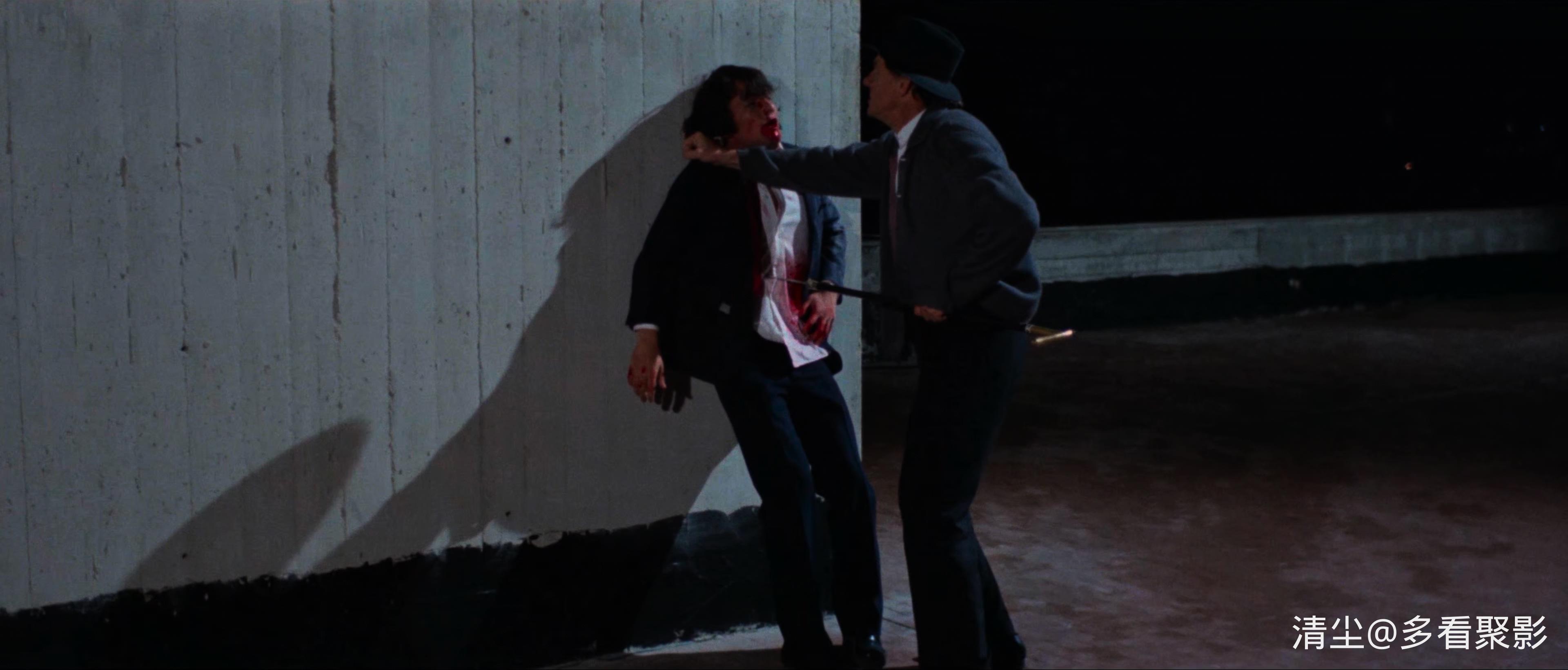 1971 九尾怪猫 Il gatto a nove code.mkv_20251008_164001.951.jpg