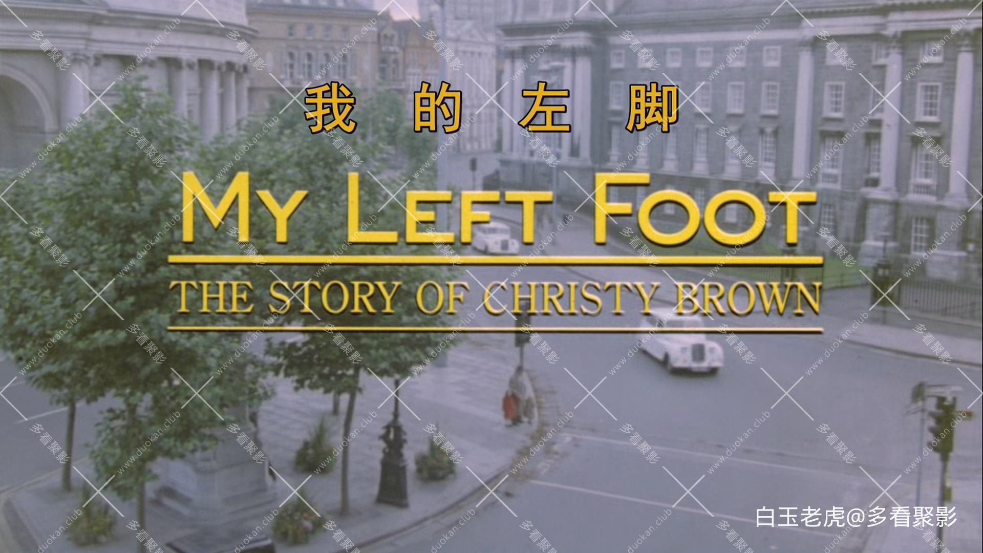 My.Left.Foot.1989.1080p.BluRay.x265-RARBG.mkv_20251011_221409.727.jpg