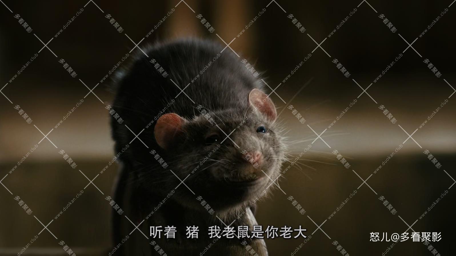夏洛特的网.Charlottes.Web.2006.1080p.BluRay.x265.3audio-RARBG特效字幕 (1).mkv_20.jpg