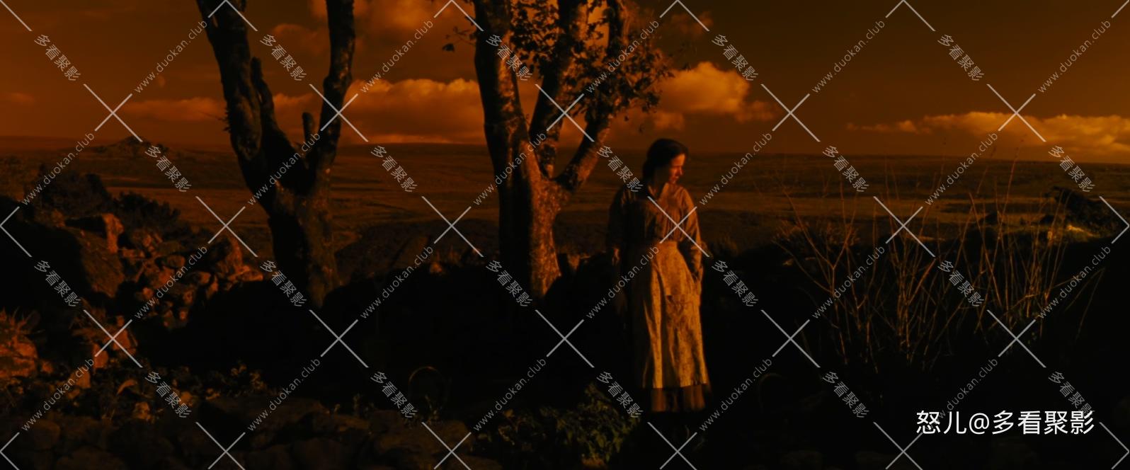 战马 War Horse 2011 (1080p x265 10bit 2audio特效字幕 Tigole).mkv_20251123_095742.225.jpg